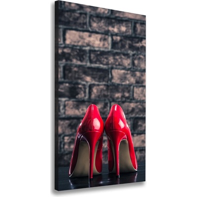 Vertikálny foto obraz na plátne Červené podpätky 50x100 cm