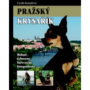 Pražský krysařík