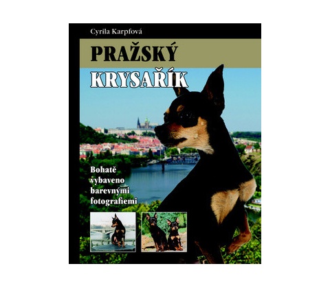 Pražský krysařík