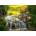 Enjoy - Puzzle A Log Cabin by the Magic Creek 1000 - 1 000 piese