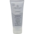 Paul Mitchell Awapuhi Wild Ginger Hydrasoft Shampoo 75ml