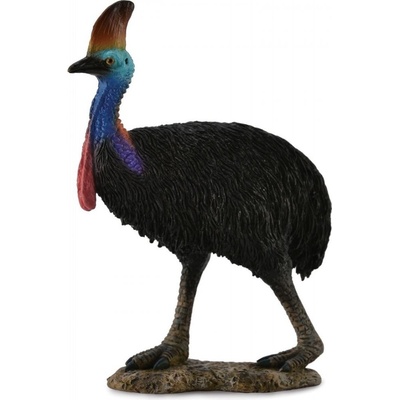 Collecta Kazaur hełmiasty
