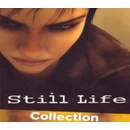 Still Life Collection