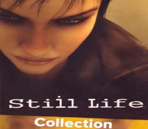 Still Life Collection
