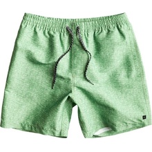 Quiksilver Fruit Bat Volley E17 GPS6