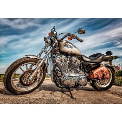 Dino Harley Davidson 500 dielov