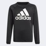 Adidas Designed To Move Big Logo (GN1482) Юношески Суичър