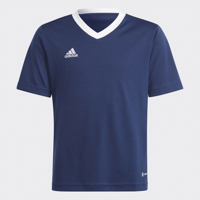 adidas Performanc pánský dres Entrada 22 GFX JSY