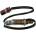 DELPHI Lambda sonda ES1058312B1