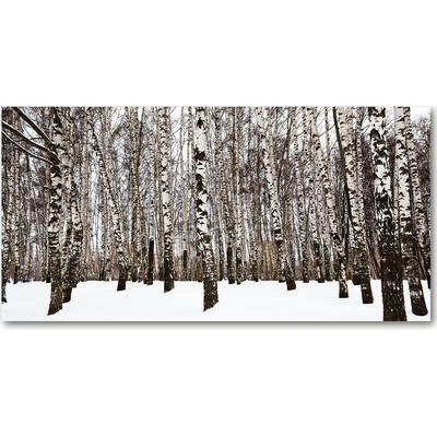 Fotoobraz na skle brezy zima 100x50 cm