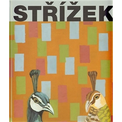 Střížek - Martin Dostál