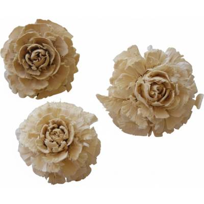 cedar rose bílá, cena za 30 ks