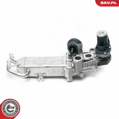 AGR - Ventil ESEN SKV 14SKV096