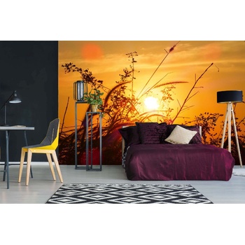 DIMEX ART s. r. o Самозалепваща се флизелинова фототапета разсъмване 375 x 250 см