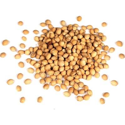 Třešňové pecky sypané Hmotnost: 1kg – Zboží Dáma