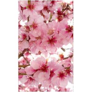 DIMEX ART Флизелинов фототапет ябълкови цветове 150 x 250 см