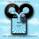 What Does Anything Mean? Basically - The Chameleons CD
