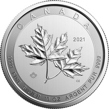 Royal Canadian Mint Strieborná minca Magnificent Maple Leaf 10 oz