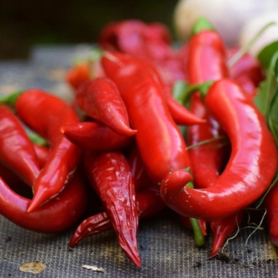 Chilli Kajenské korenie extra tenké - Capsicum Annuum - semená chilli - 7 ks