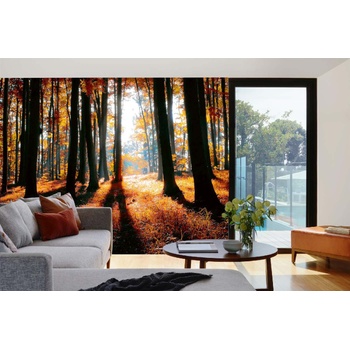 DIMEX ART s. r. o Самозалепваща се флизелинова фототапета цветна есенна гора 375 x 250 см