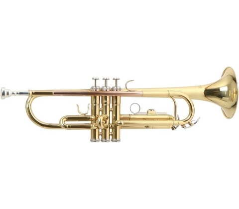 ROY BENSON TR-101