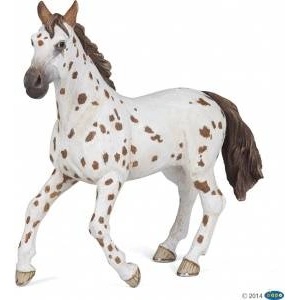 Russell Athletic Appaloosa mare