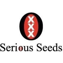 Serious Seeds Double Dutch regular semena neobsahují THC Fotoperioda 11 ks