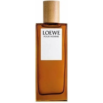 Loewe Pour Homme EDT 100 ml Tester