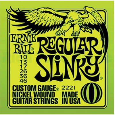 Ernie Ball 2221