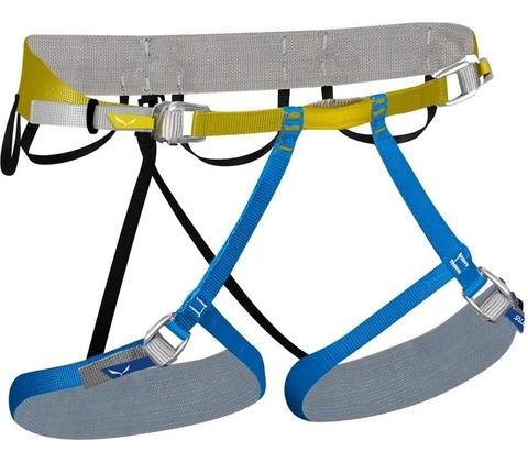 Salewa Ortles