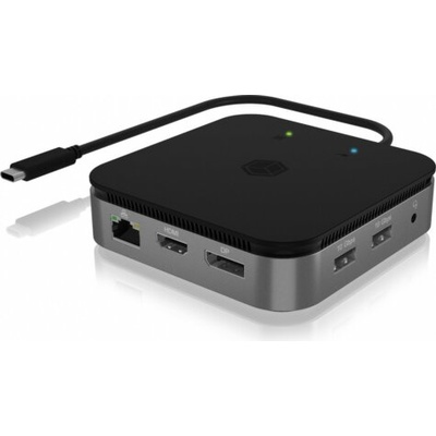 RaidSonic IB-DK408-C41