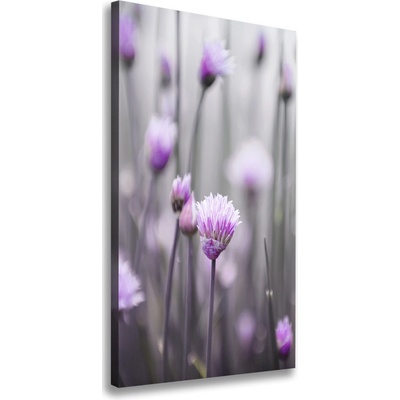 Vertikálny foto obraz na plátne Kvety pažítky 50x100 cm