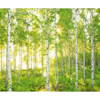 Komar Vliesová fototapeta Sunday rozměry 300 x 250 cm