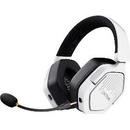 Trust GXT 493PS