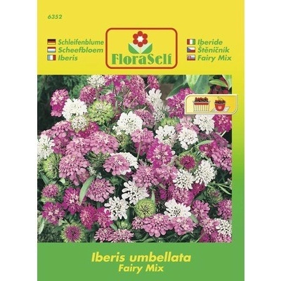 Štěničník 'Iberis umbellata' směs květinových semen FloraSelf