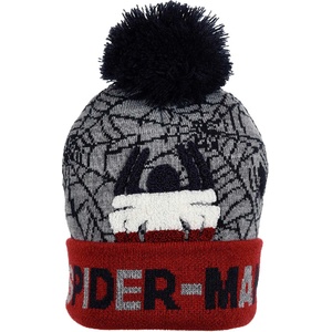 Kids movie heroes Шапка spiderman (hu4007-lgy)