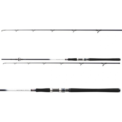Daiwa Grandwave Cod 2,4 m 150-300 g 2 Diely