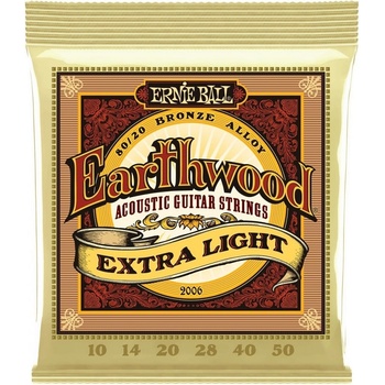 Ernie Ball 2008