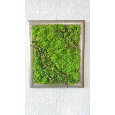 Mechový obraz 48 cm x 38 cm