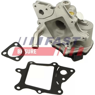 FAST AGR ventil FST FT60231