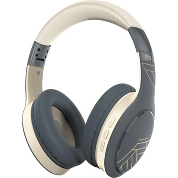 Image 1 of PowerLocus P19