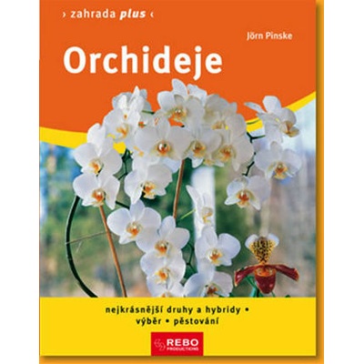 Orchideje - Zahrada plus - Pinske Jörn