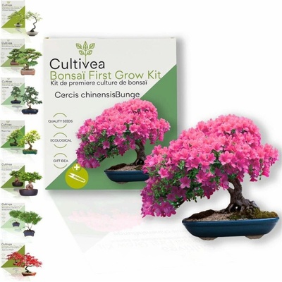 Cultivea Bonsai sada "Cercis Chinensis“ - 1 sada