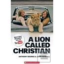 Lion Called Christian