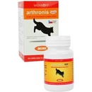 Arthronis mini ACUTE CANIS sýrová příchuť 60 tbl