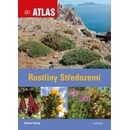 Rostliny Středozemí
