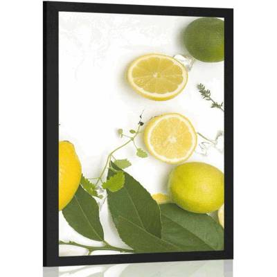 Plakát mix citrusových plodů - 60x90 no frame
