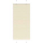 vidaXL Плисирана щора Cream 55x150 cm Ширина на плата 54, 4 cm (4015287)