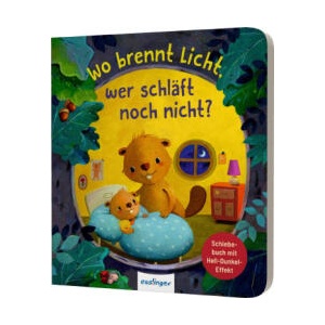 Wo brennt Licht, wer schläft noch nicht? (ISBN: 9783480238538)