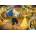 Trefl - Puzzle Premium Plus: Beauty and the Beast - 1 000 piese